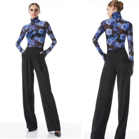 Alice + Olivia DELAINA LONG SLEEVE TURTLENECK MESH TOP SIZE XL - Picture 6 of 16